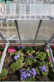 France, Haute Normandie, eure, vallee de la seine, giverny, maison de claude monet, jardin, fleurs, impressionnistes, peinture, serres, chef jardinier gilbert vahe,