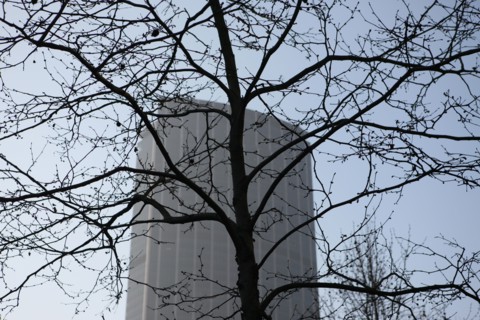 France, ile de france, paris 15e arrondissement, avenue du maine, arbre, tour montparnasse, gratte ciel, immeuble, bureaux,