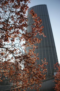 France, ile de france, paris 15e arrondissement, avenue du maine, tunnel routier, automobile, arbre en fleurs, printemps, rue, voie express, tour montparnasse,