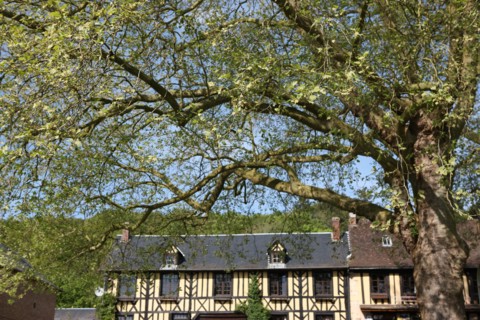 France, le bec hellouin