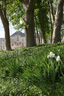 France, le bec hellouin