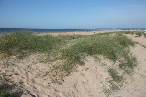 France, Basse Normandie, calvados, plages du debarquement, ouistreham riva bella, plage, sable, dunes, oyats, chemin, mer,