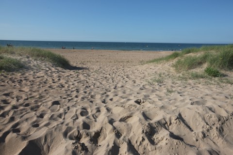France, Basse Normandie, calvados, plages du debarquement, ouistreham riva bella, plage, sable, dunes, oyats, chemin, mer,