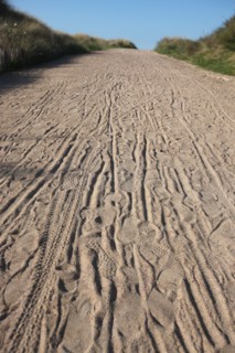 France, Basse Normandie, calvados, plages du debarquement, ouistreham riva bella, plage, sable, chemin, dunes, oyats,