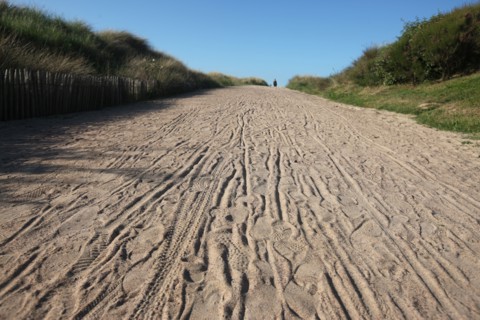 France, Basse Normandie, calvados, plages du debarquement, ouistreham riva bella, plage, sable, chemin, dunes, oyats,