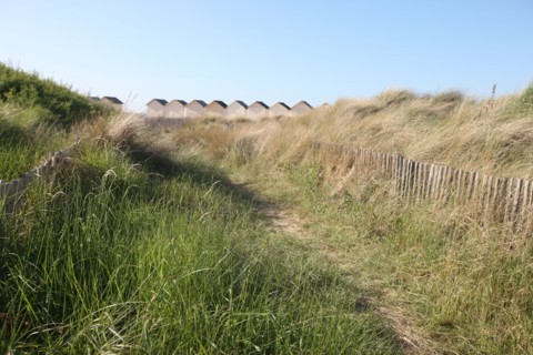 France, Basse Normandie, calvados, plages du debarquement, ouistreham riva bella, plage, sable, cabines de bains, dunes, oyats, chemin,