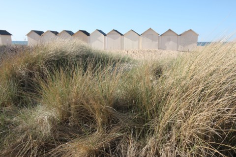 France, Basse Normandie, calvados, plages du debarquement, ouistreham riva bella, plage, sable, cabines de bains, dunes, oyats,