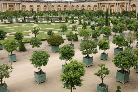 France, versailles