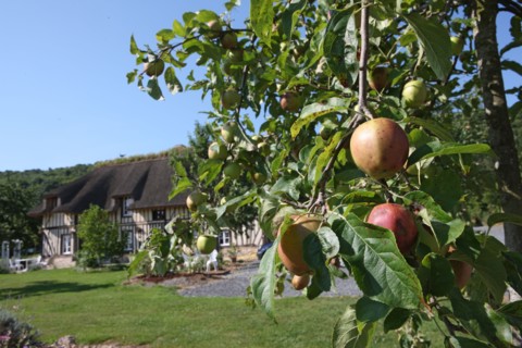 France, pays de risle