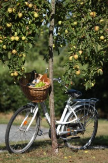 France, pays de risle