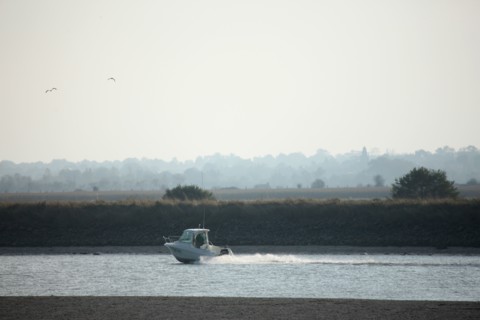 France, Basse Normandie, calvados, bessin, Isigny sur mer, embouchure de la vire, littoral, dunes, estuaire, manche, sable, vedette de plaisance,