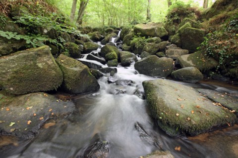 France, Basse Normandie, calvados, pays d'accueil touristique du bocage virois, maisoncelles la jourdan, pont es retour, cascades, eau vive,