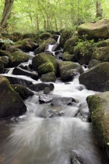 France, Basse Normandie, calvados, pays d'accueil touristique du bocage virois, maisoncelles la jourdan, pont es retour, cascades, eau vive,