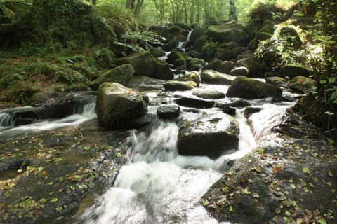 France, Basse Normandie, calvados, pays d'accueil touristique du bocage virois, maisoncelles la jourdan, pont es retour, cascades, eau vive,