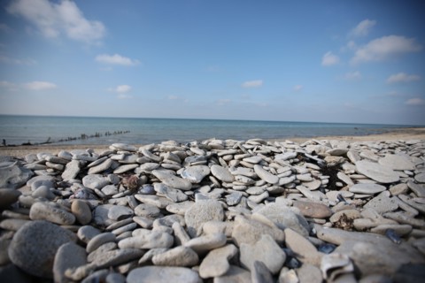 France, bessin