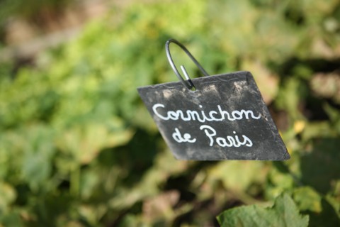 France, roumois land