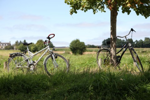 France, Basse Normandie, manche, pays de la baie, voie verte, a proximite des cheris, cyclistes, velo,
