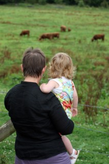 France, Haute Normandie, seine maritime, plateau de caux maritime, le hanouard, les basses eaux, sentier de promenade, nature, decouverte, famille, enfants,