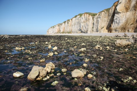 France, Haute Normandie, seine maritime, l'echelle saint martin, plateau de caux maritime, sortie pedagogique sur l'estran, falaise,
