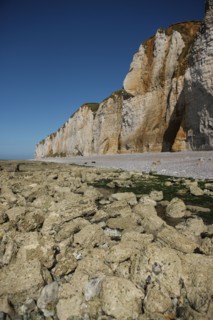 France, Haute Normandie, seine maritime, l'echelle saint martin, plateau de caux maritime, sortie pedagogique sur l'estran, falaise,