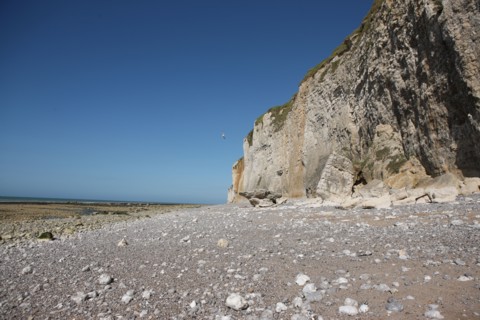 France, Haute Normandie, seine maritime, l'echelle saint martin, plateau de caux maritime, sortie pedagogique sur l'estran, falaise,