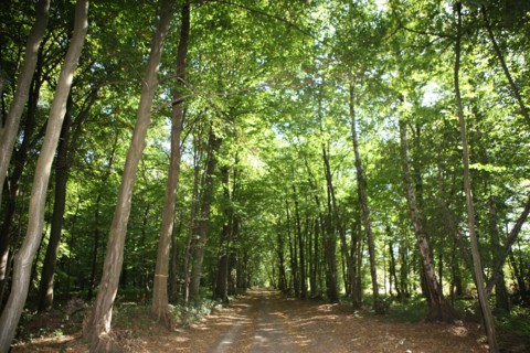 France, pays d'accueil touristique du pays de bray