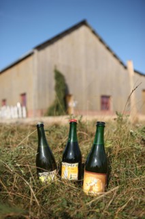France, pays d'accueil touristique du pays de bray