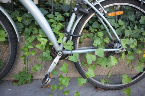 Bicycle to a railing caught in the leaves