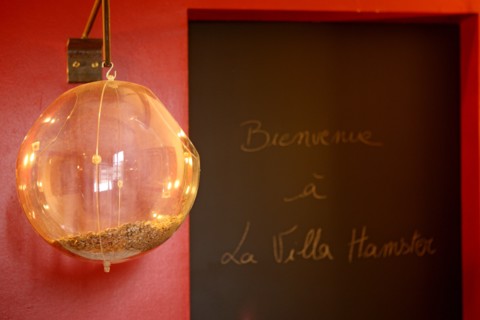 Villa Hamster in Nantes