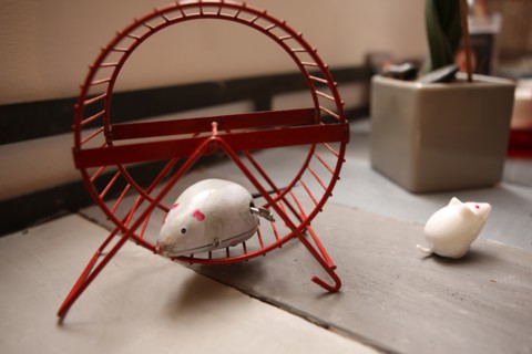Villa Hamster in Nantes