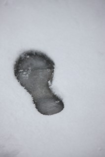 Ile de France, Snowy