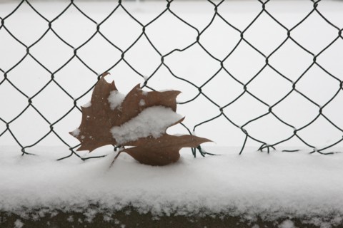 Paris sous la neige