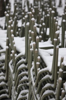 Paris sous la neige