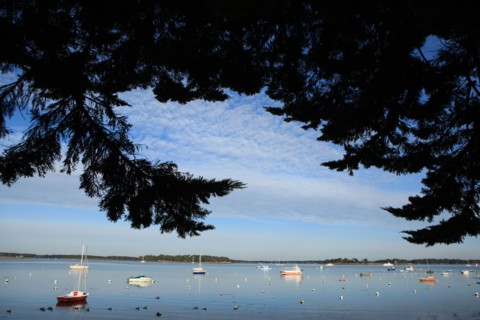 France, Bretagne, morbihan, golfe du morbihan, locmariaquer, mer, eau, bateaux, naires, voiliers, village, port,
