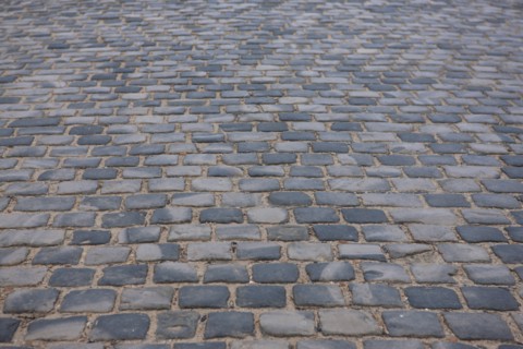 France, palace of versailles