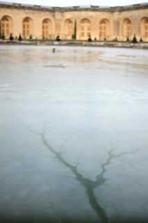 France, Ile de France, Yvelines, Versailles, chateau de Versailles, parc du chateau, jardin, hiver, froid, bassin de l'orangerie, eau gelee, givre, glace,