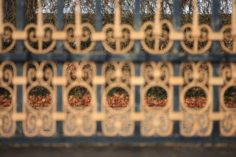 France, Ile de France, Yvelines, Versailles, chateau de Versailles, parc du chateau, jardin, hiver, grille, feuilles mortes,