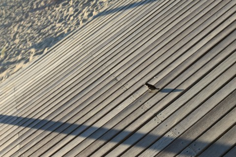 France, Deauville