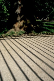 France, jardin du luxembourg