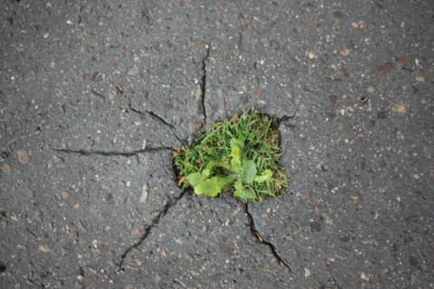 France, Detail of the pavement