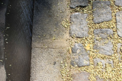 France, Detail of the pavement