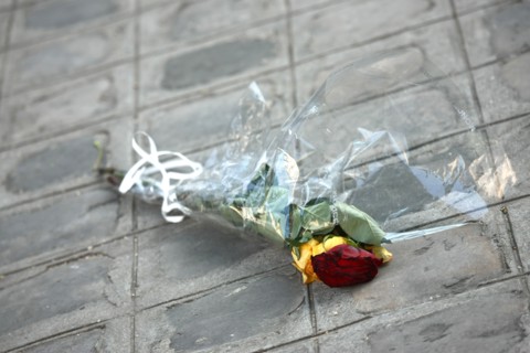 France, on the ground