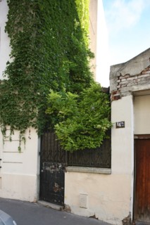 France, Ile de France, paris 20e arrondissement, 46 bis rue des prairies, jardin sur rue,