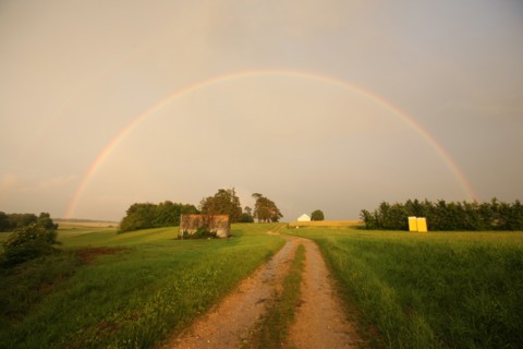 France, region centre, cher, sancerrois, pesselieres, arc en ciel, orage, meteo, rainbow, pluie, climat, arche, agriculture, champ, panneau, chemin,