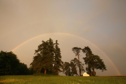 France, region centre, cher, sancerrois, pesselieres, arc en ciel, orage, meteo, rainbow, pluie, climat, arche, agriculture, champ, panneau, chemin,