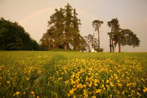 France, region centre, cher, sancerrois, pesselieres, arc en ciel, orage, meteo, rainbow, pluie, climat, arche, agriculture, champ, panneau, chemin, fleurs,