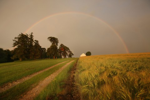 France, region centre, pesselieres, arc en ciel, orage, meteo, rainbow, pluie, climat, arche, agriculture, champ, panneau, passage prive, chemin,