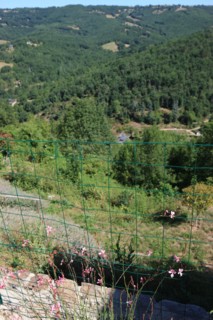 France, Safeguarded village