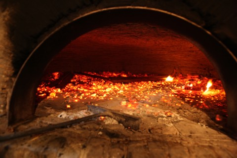 France, la haye de routot