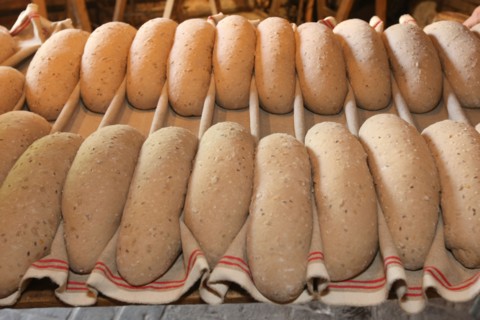France, la haye de routot